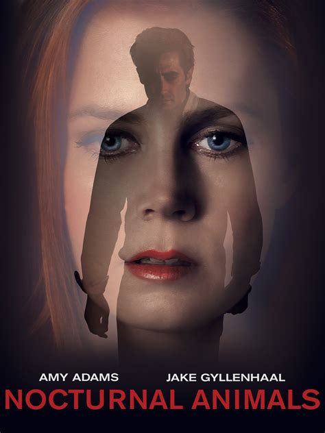 nocturnal animals movie website